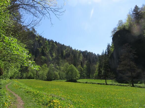 an der Wiesent von Doos bis Pulvermühle