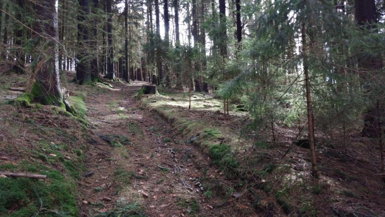 Waldweg