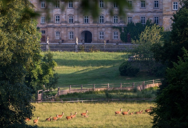 WildPark und Schloss Tambach
