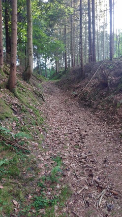 Alte Hohlgasse