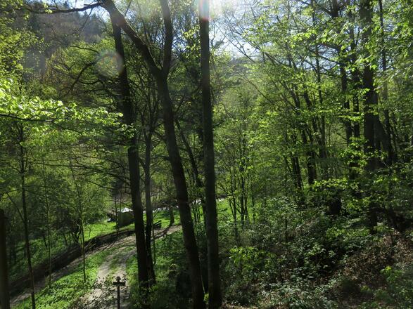 von der Pulvermühle über die weiße Marter nach Doos
