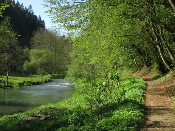 von der Pulvermühle über die weiße Marter nach Doos