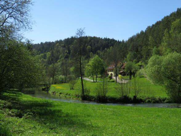 an der Wiesent von Doos bis Pulvermühle