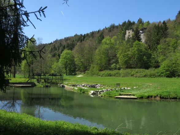 an der Wiesent von Doos bis Pulvermühle