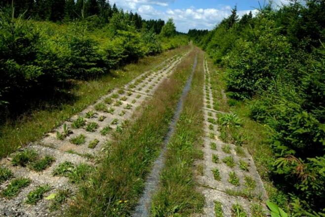 ehemaliger Kolonnenweg