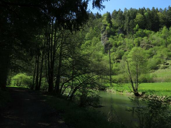 an der Wiesent von Doos bis Pulvermühle