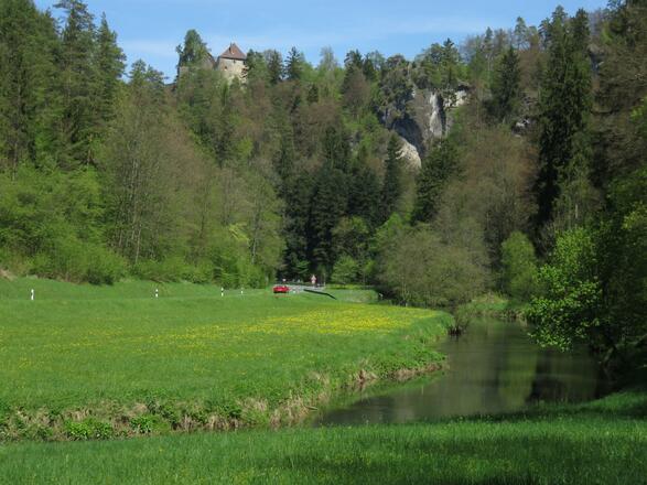 an der Wiesent von Doos bis Pulvermühle
