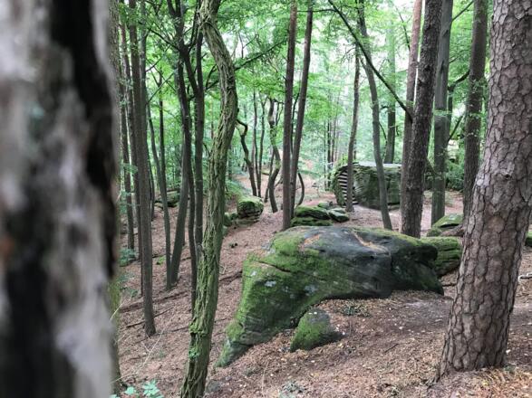 Naturdenkmal Ebnether Felsenkeller
