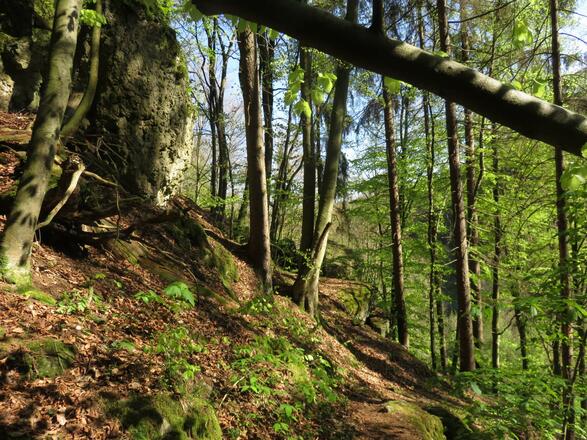 von der Pulvermühle über die weiße Marter nach Doos