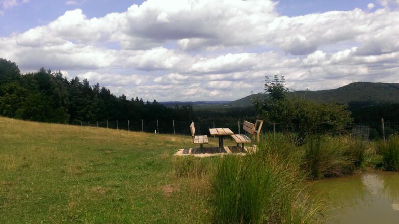 Ausblick bei Häusles