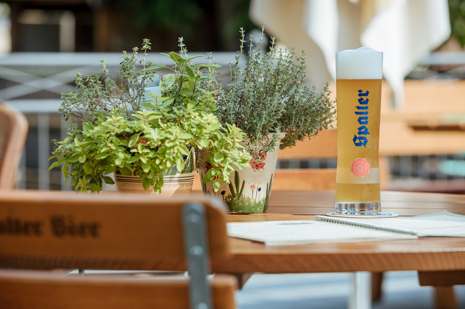 Spalter Biergarten