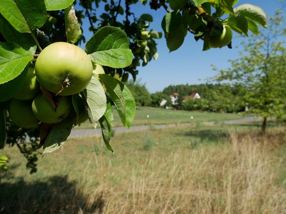 Radweg im Nürnberger Land
