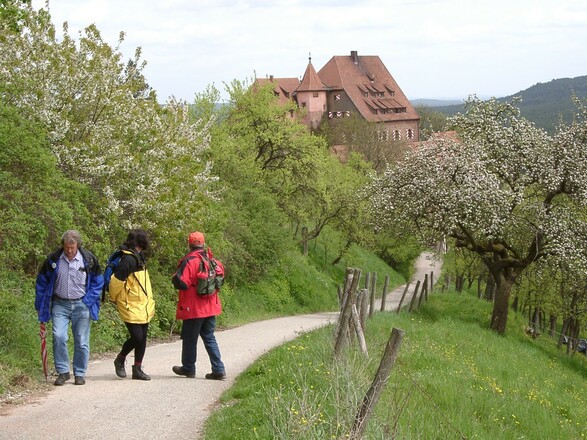Burg Wernfels