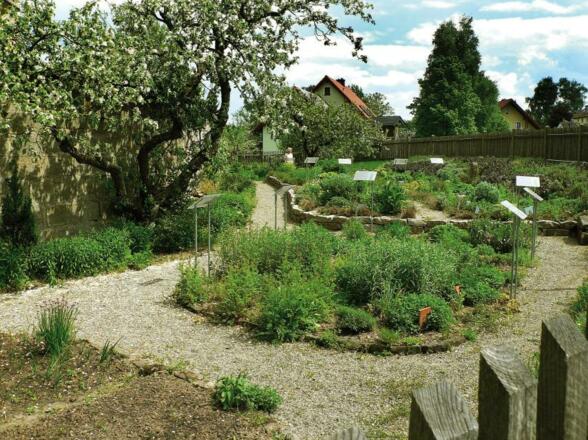 Mittelalterlicher Kräutergarten Langenstadt