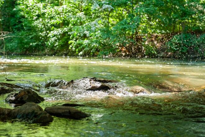 Fluss Roth