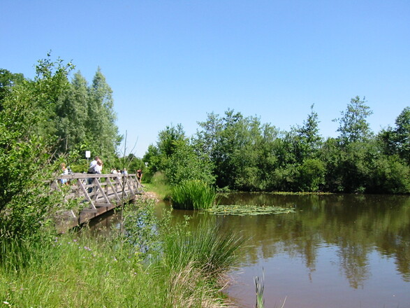 Naturschutzgebiet am Rothsee