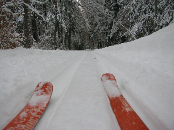 Langlaufski in der Loipe