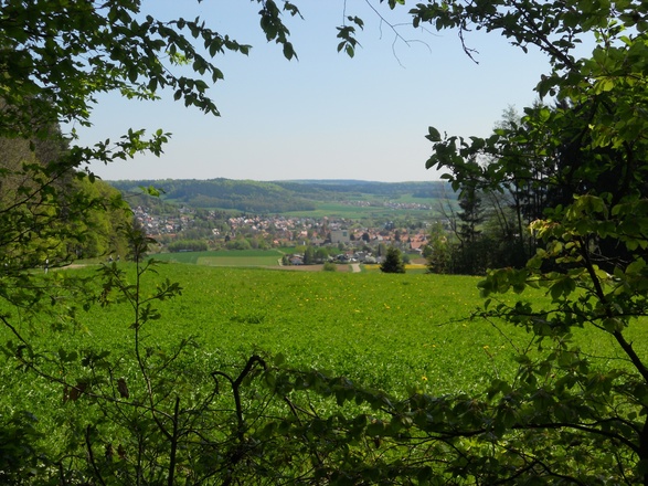 Blick auf Thalmässing
