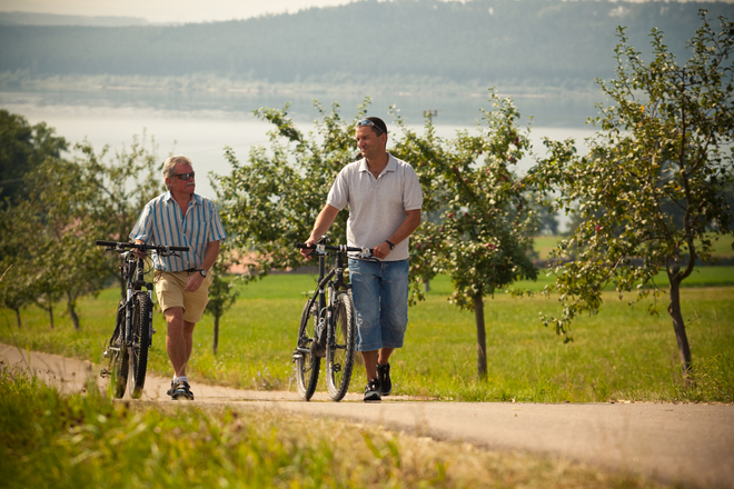 Radeln im Spalter Hügelland