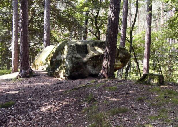 Druidenstein im Abenberger Wald