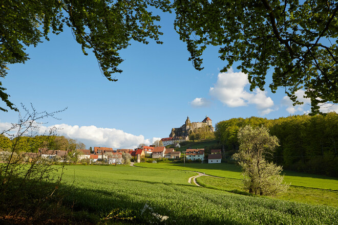 Blick auf Burg Hohenstein