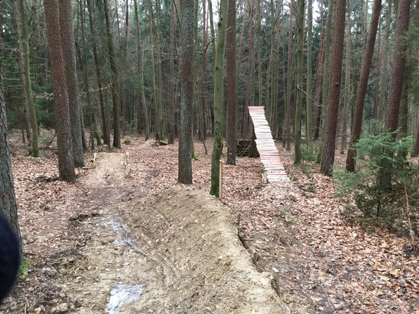 Sprungschanze für Biker im Wald