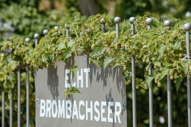 Echt Brombachseer