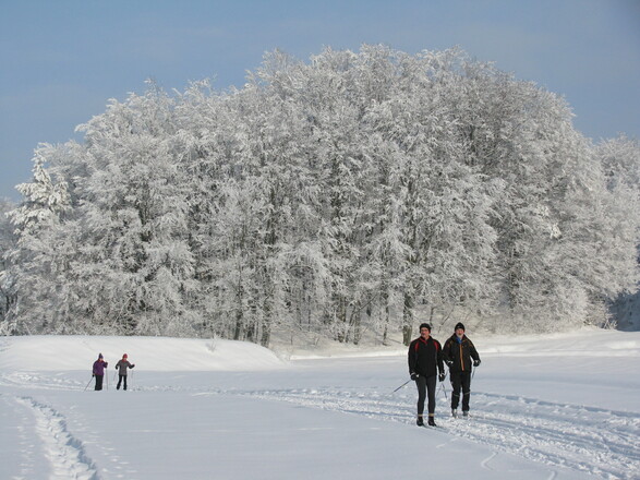 Skilanglauf im Nürnberger Land