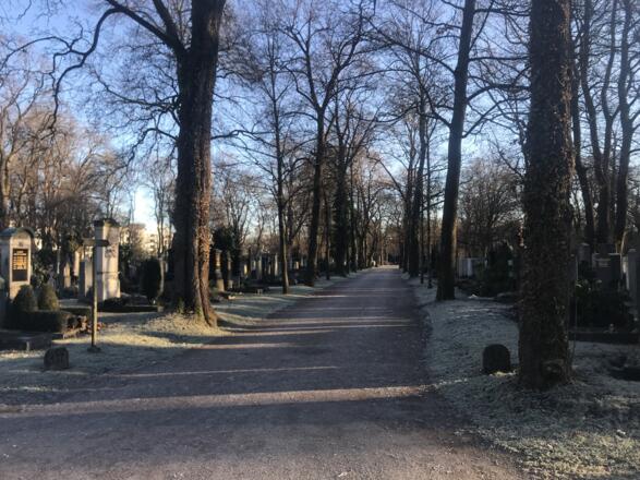 Allee auf dem Ostfriedhof