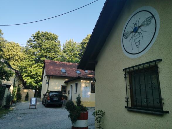 Waldwirtschaft Bienenheim