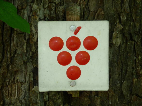 Rote Traube Wegkennzeichen