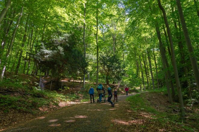 Naturschutzgebiet Ibengarten
