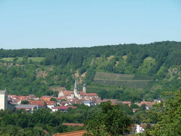 Blick vom Karlsberg auf Weikersheim