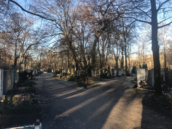 Weggabelung auf dem Ostfriedhof