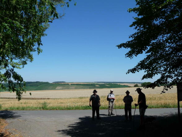Blick vom Haupteingang des Karlsbergs zur Weinlage Tauberrettersheimer Königin