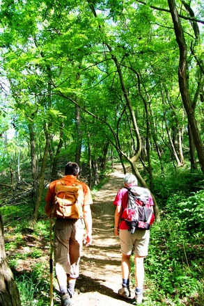 Wanderung dem Main entlang