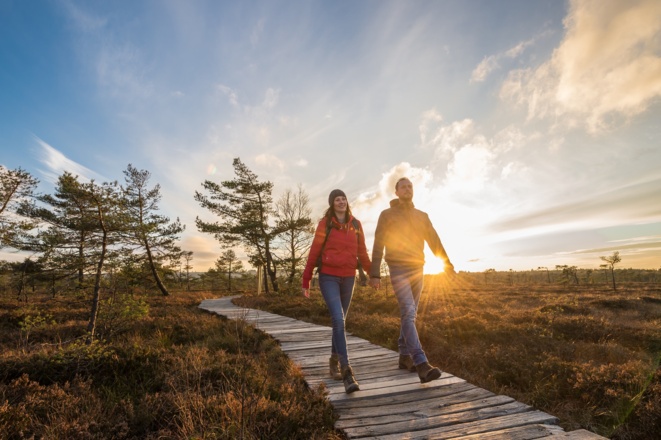 Unterwegs auf dem Bohlenpfad im Schwarzen Moor