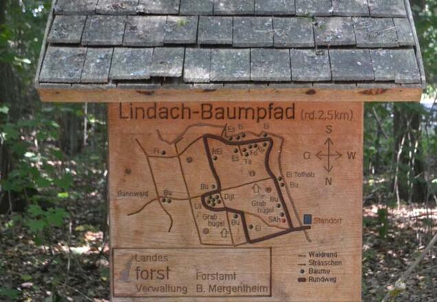 Übersichtstafel zum "Lindach-Baumpfad"