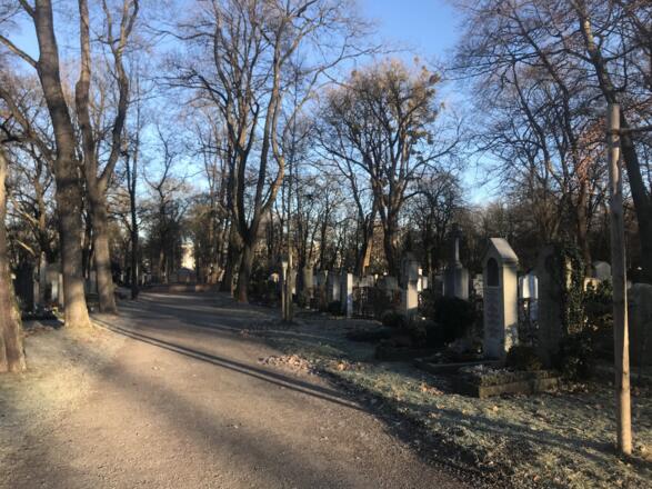 Ein sonniger Wintermorgen auf dem Ostfriedhof.