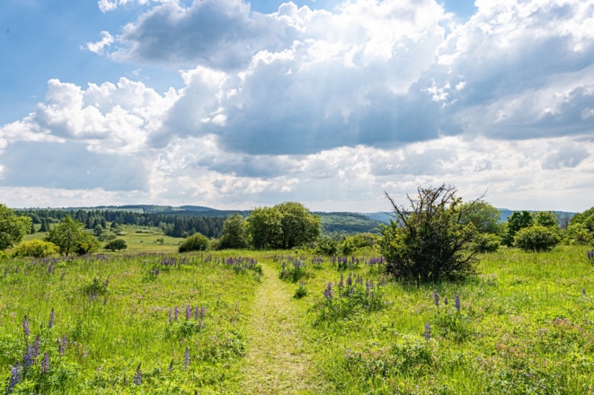 Frühlingslandschaft am Dreiländereck Hessen - Bayern - Thüringen