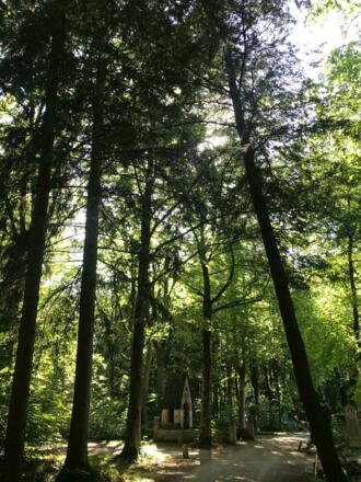 Waldfriedhof München