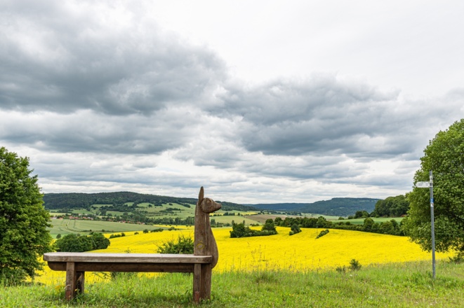 Hochrhöner-Sitzbank am Steinkopf bei Kaltensundheim