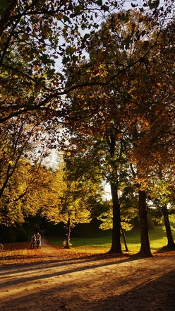 Schatten am Monopteros im Englischen Garten im Herbst