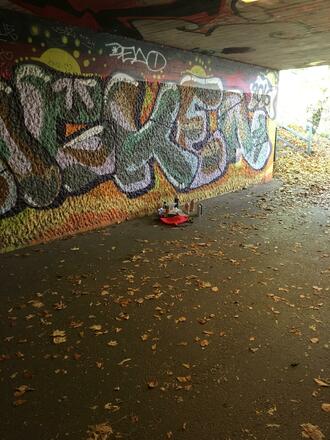 Sprayer am Werk, Unterführung Brudermühlbrücke Okt 2019