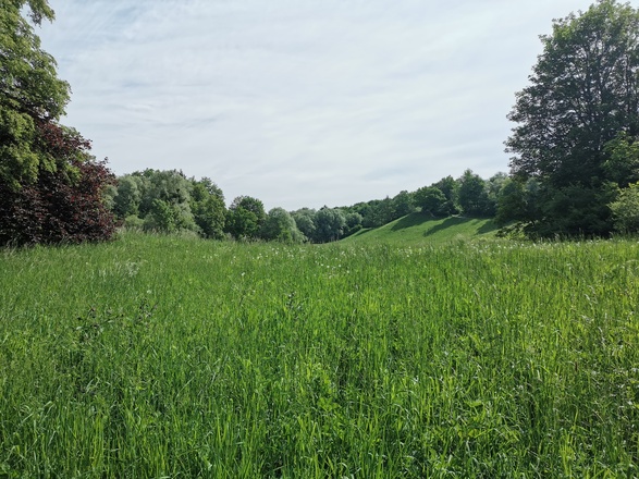 Aubinger Lohe