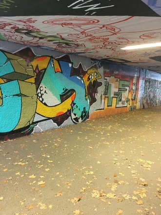 Graffiti in Unterführung Brudermühlbrücke Okt 2019