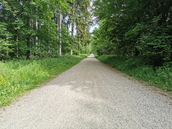 Aubinger Lohe