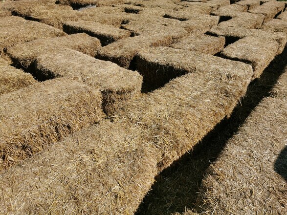 Maislabyrinth Lochhausen