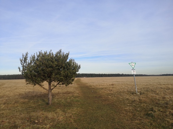 Naturschutzgebiet Panzerwiese und Hartelholz