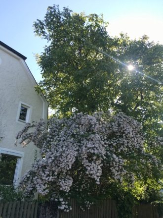 Alte hadernder Villenkolonie